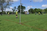 113_IMG_984165