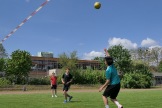 142_IMG_984165
